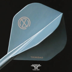 Condor AXE The Omeshicha Metallic Standard Shape Flight Stems Shafts - S= 21.5mm - FutureDart