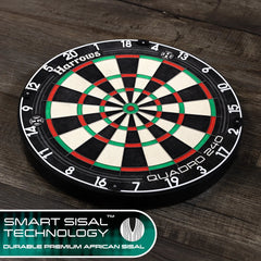 Harrows Quadro 240 Steeldartboard - FutureDart