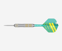 Target Rob Cross Brass Steeldarts 22g