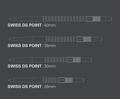 Target Swiss DS Point Silber, Schwarz, Gold