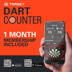 Target Dimitri Van Den Bergh 95K Swiss Point Steeldarts 22g, 23g, 24g - 22g - FutureDart