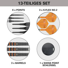 Target Raymond Van Barneveld 95K Softdarts 20g - FutureDart