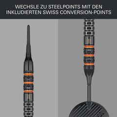 Target Raymond Van Barneveld 95K Softdarts 20g - FutureDart