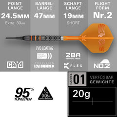 Target Raymond Van Barneveld 95K Softdarts 20g - FutureDart