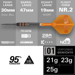 Target Raymond Van Barneveld 95K Swiss Points Steeldarts 21g, 23g, 25g - 21g - FutureDart