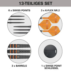 Target Raymond Van Barneveld 95K Swiss Points Steeldarts 21g, 23g, 25g - 21g - FutureDart