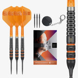 Target Raymond Van Barneveld 95K Swiss Points Steeldarts 21g, 23g, 25g
