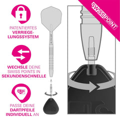 Target Signature TRB Swiss Point - Silber - 30 mm - FutureDart