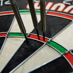 Tarcza stalowa Winmau Pro SFB