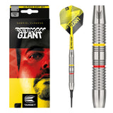 Target Gabriel Clemens soft darts 18g
