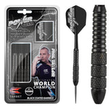 Target Phil Taylor Power Storm Steeldarts 22g