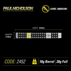 Winmau Paul Nicholson Softdarts 20g