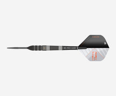 Target Raymond Van Barneveld RvB95 X Echo Swiss Point Steeldarts 21g, 23g, 25g
