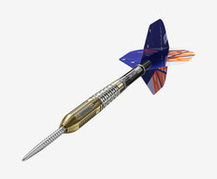Target Raymond van Barneveld Chrono Swiss Point Steeldarts 21g, 23g, 25g
