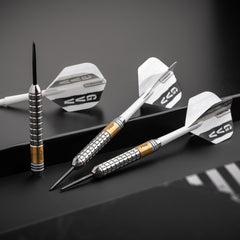 Red Dragon Gian van Veen SE Brass Steeldarts 21g - FutureDart