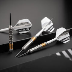 Red Dragon Gian van Veen SE Brass Steeldarts 21g