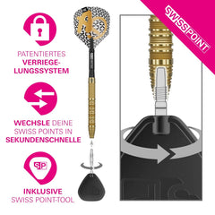 Target Bolide Envy 01 Swiss Point Steeldarts - 22g, 23g, 24g, 25g - 22g - FutureDart