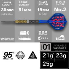 Target Raymond Van Barneveld GEN6 Swiss Point Steeldarts 21g, 23g, 25g