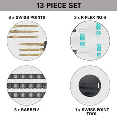 Target Rob Cross 95K Swiss Point Steeldarts 21g, 22g, 23g - 21g - FutureDart