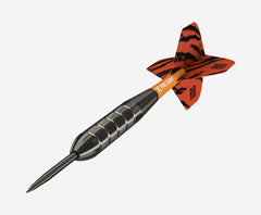 Target RvB Raymond van Barneveld Steeldarts 22g - FutureDart