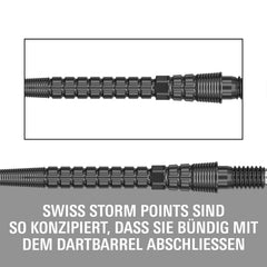 Target Swiss Point Chrono Storm Silber, Schwarz, Gold - Silber - 30mm - FutureDart