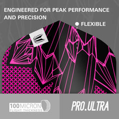 Target Lorraine Winstanley G2 ProUltra No2 Standard Flights - 3 Sets - FutureDart