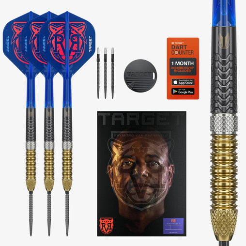 Target Raymond Van Barneveld GEN6 Swiss Point Steeldarts 21g, 23g, 25g - 21g - FutureDart