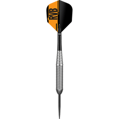 Target RVB Raymond van Barneveld steel darts 21g, 23g
