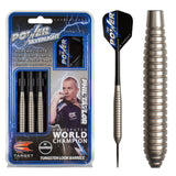 Target Phil Taylor Power Silverlight V2 Steeldarts 24g