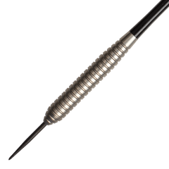 Target Phil Taylor Power Silverlight V2 Steeldarts 24g - FutureDart